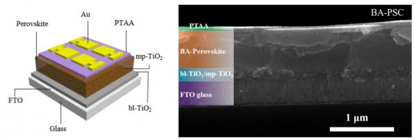 刘明侦教授团队在《美国化学学会能源快报》发表研究成果