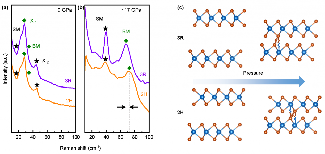 基础院王曾晖夏娟等在SCIENCE CHINA Physics, Mechanics & Astronomy上发表研究成果