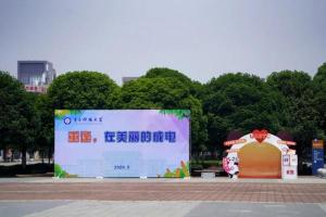 准备好了，成电等你“回家”！