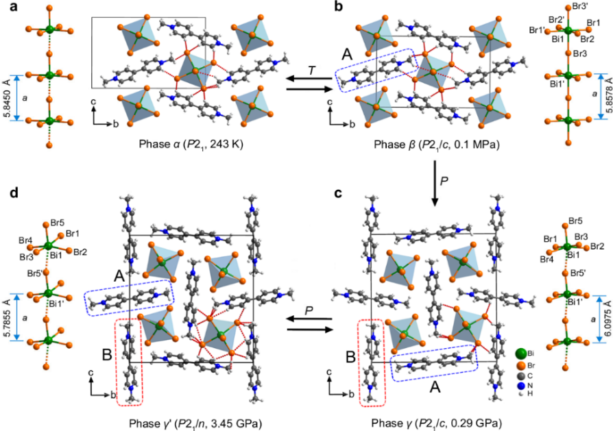 材料学院蔡伟照教授课题组在新型动态响应晶态材料领域取得重要进展