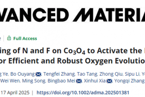 基础院张永起研究员在Advanced Materials发表等离子体技术辅助合成高效长寿命析氧电催化剂最新成果