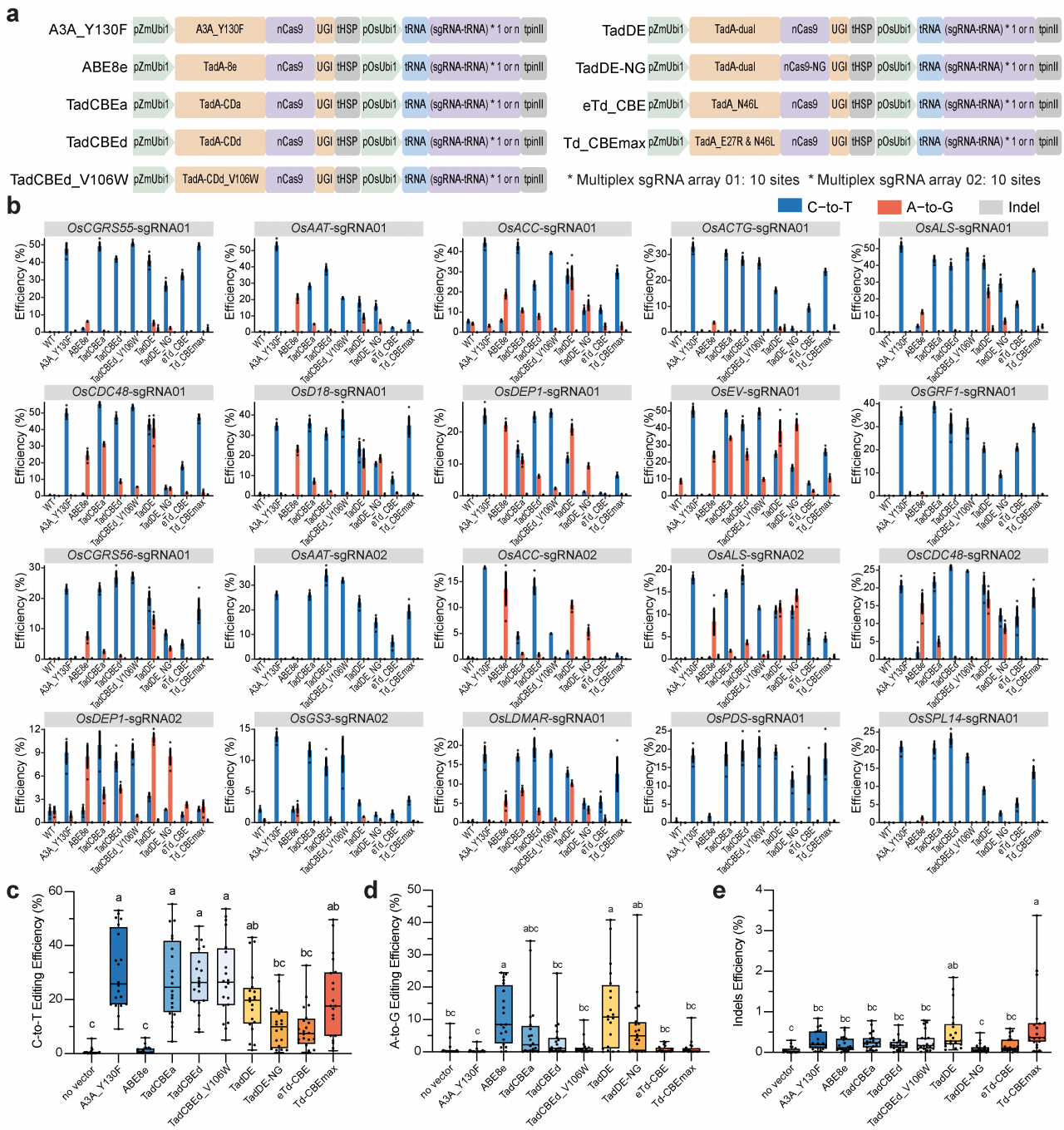TadCBE-fig1_V4_画板 1.png deb667e5c9815fd7184acb52db47815e_cf5a2.p