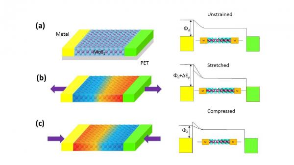 物电学院本科生在纳米顶级期刊Nano Energy上发表论文