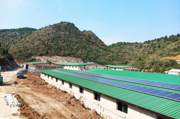 新建的标准化圈舎.jpg 新建的标准化圈舎.jpg