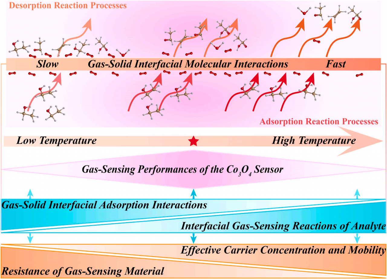 董帆10.png 董帆10.png