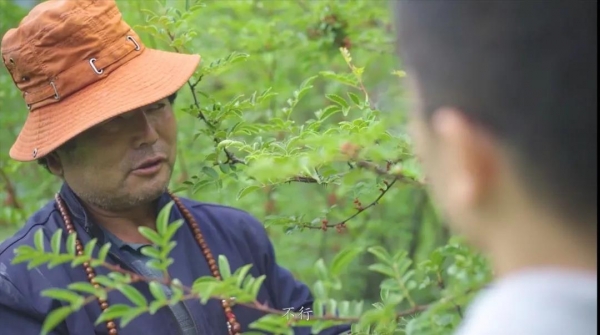 微信图片_20201016092236.jpg e2cc1e0e75338a49262d42af711a5161.jpg