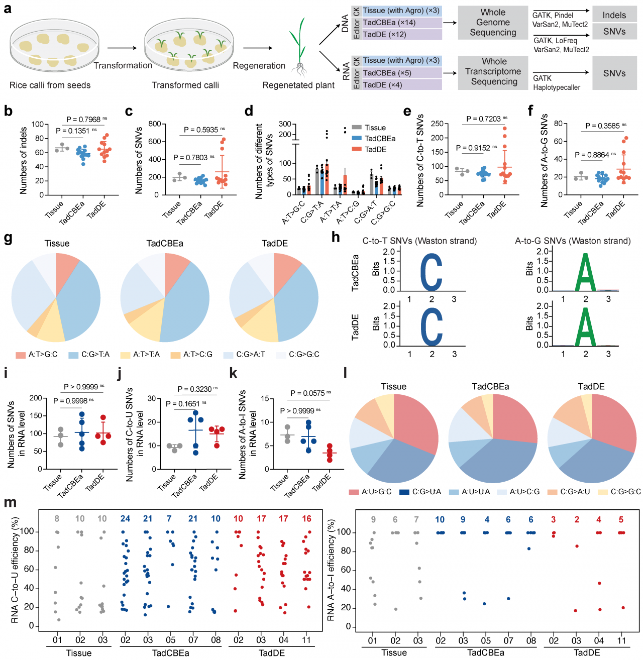 TadCBE-fig5_V2_画板 1.png e3647fd7cf3a1acc3f8d793fa4e6b07c_cf5a2.p