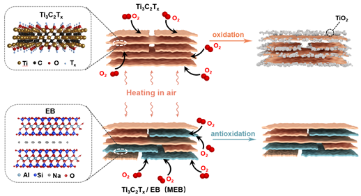 电子学院肖旭团队在Nature Communications上连续发表研究成果