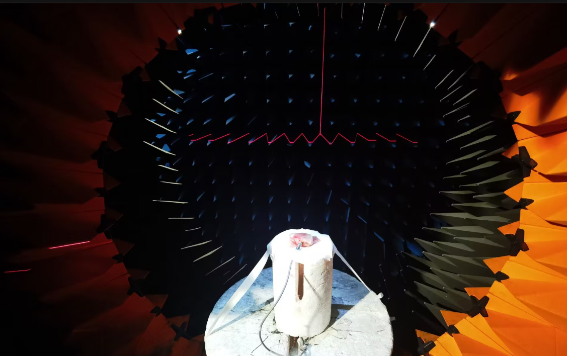 格拉斯哥学院本科生连发多篇高水平论文