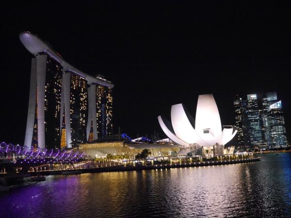 图6:新加坡海湾夜景.JPG 图6:新加坡海湾夜景.JPG