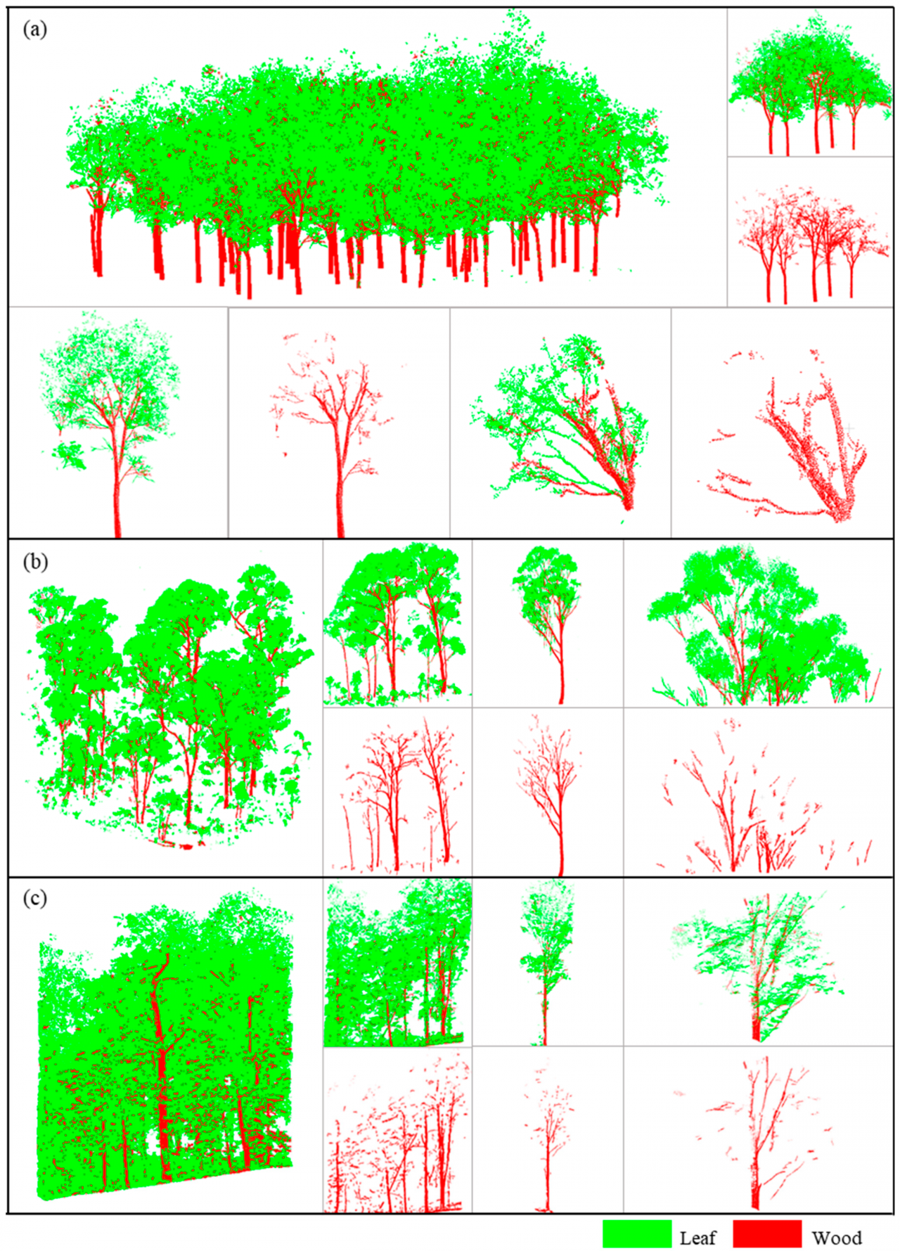 资环学院本科生在遥感学科期刊Remote Sensing发表论文