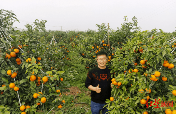 微信截图_20201009113723.png 微信截图_20201009113723.png