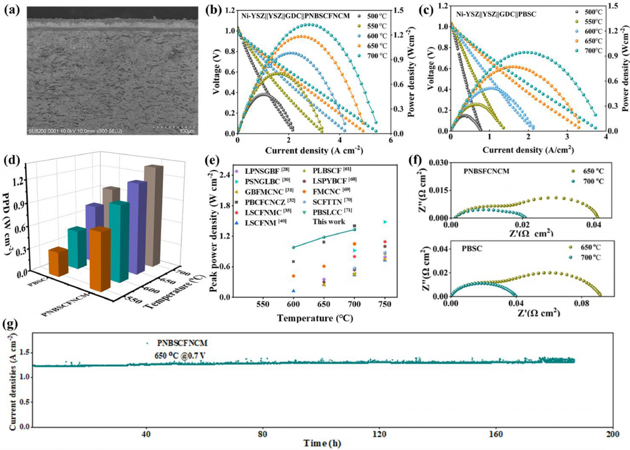 实现高效发“绿电”！机电学院外籍博士后在金属顶刊Acta Materialia报道新型高熵低钴电极