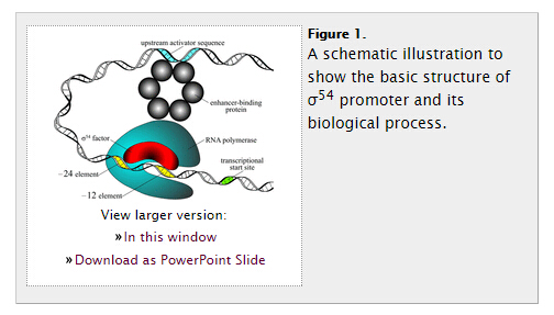 林昊课题组连续在生物信息学领域权威期刊发表研究论文