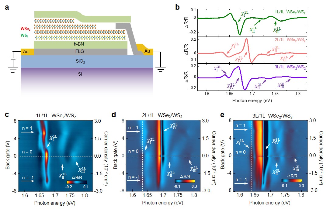 基础院王曾晖教授团队在Nature Communications发表研究成果