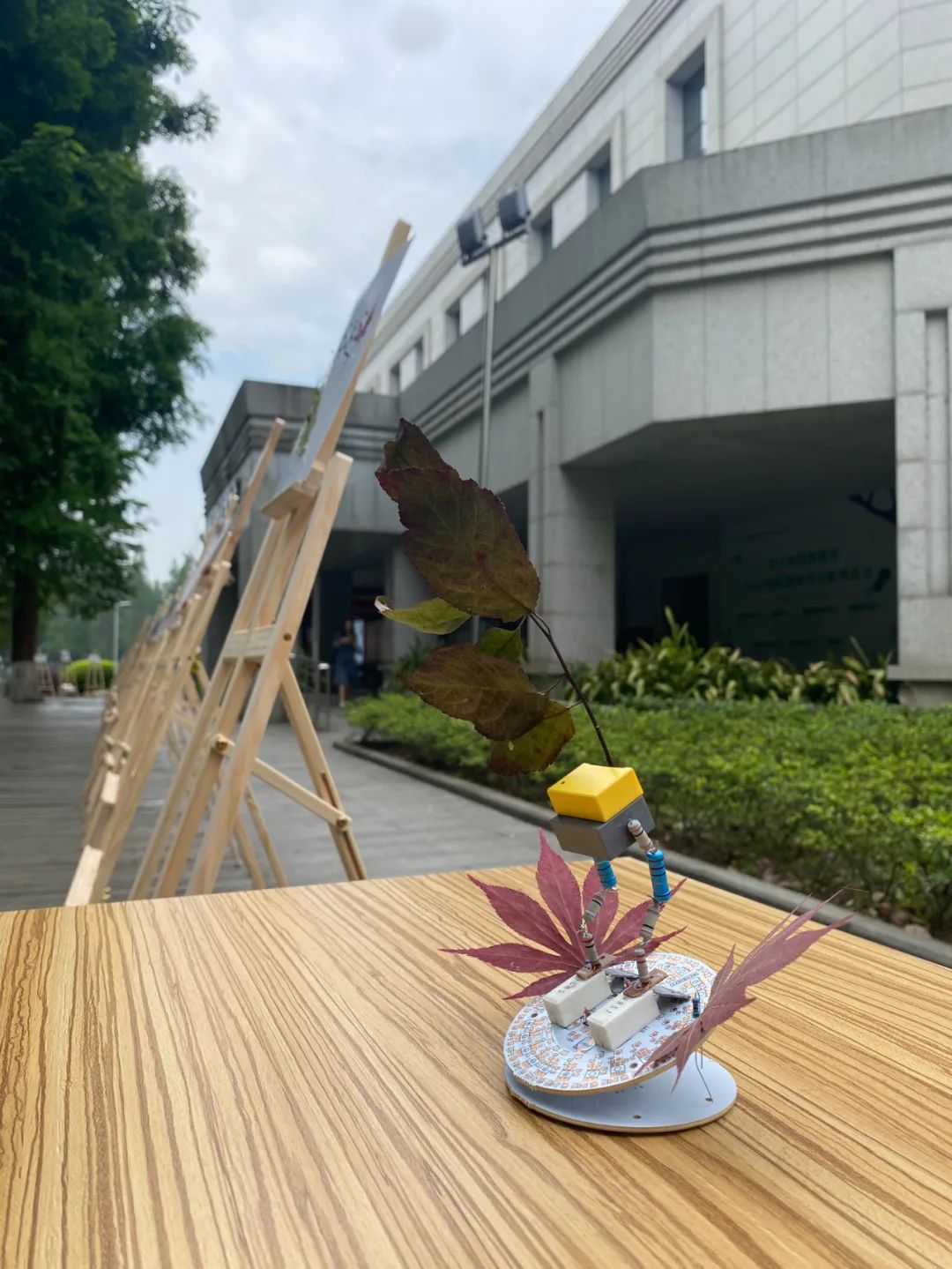 31.jpg eb566af154fb2c4a52c747d677da773b.jpg