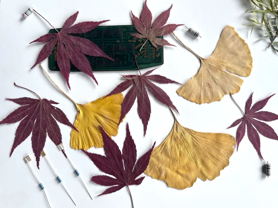 16.jpg ec379da07259fd0a1ef1ca25ac4ca0c2.jpg