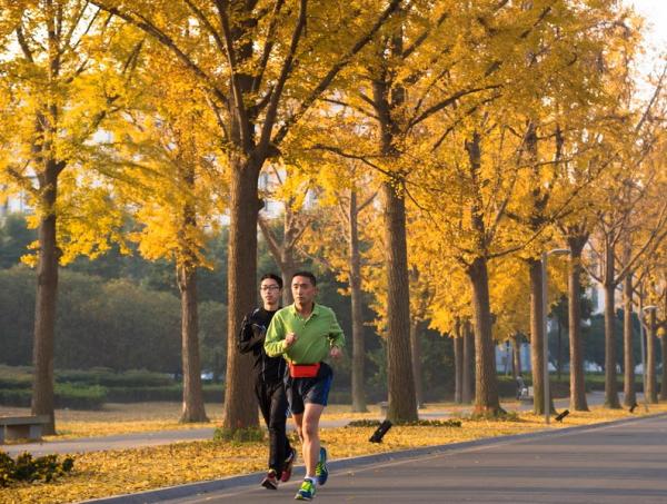 paobu001.jpg paobu001.jpg