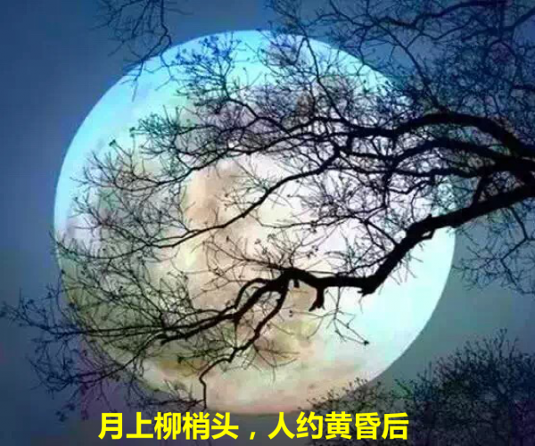 【课程思政】漫话数学建模：用数学浸润成电学子的“世界观”