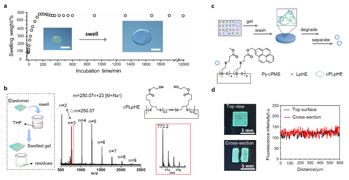 基础院崔家喜教授团队在Angew发表蒸发辅助合成奥林匹克凝胶最新成果