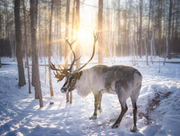 QQ截图20181105094251.jpg efd7da1afb7e136a35d04f3659d9ea06.jpg