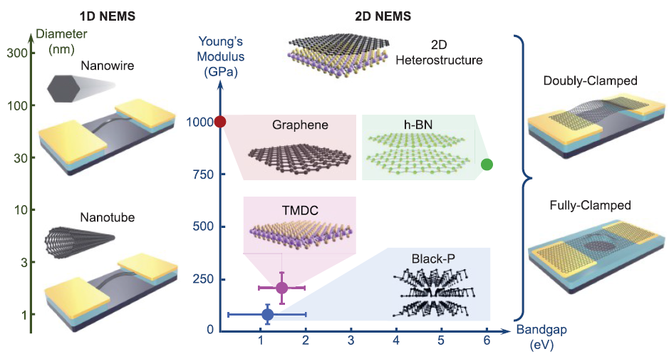 基础院王曾晖教授团队在ACS Nano发表研究综述