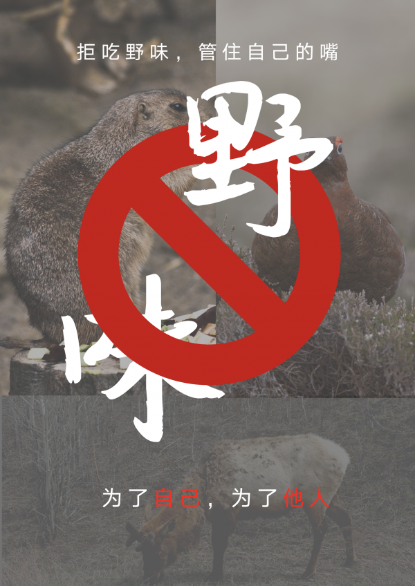 【抗击新冠疫情】光电学院科学谋划 扎实开展疫情防控