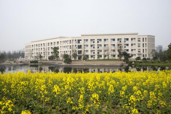 _DSC5804.jpg f23b4366c6e0416aad61c3f23a7856c8.jpg