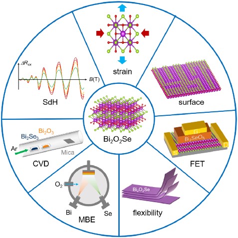 物理学院乔梁教授课题组在Matter发表科研成果