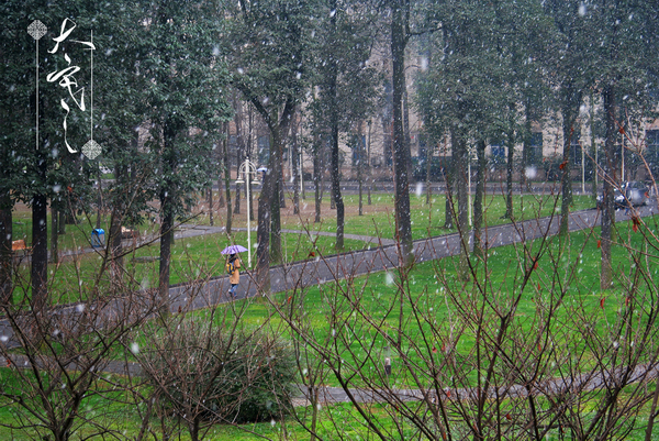 大寒.png 大寒.png