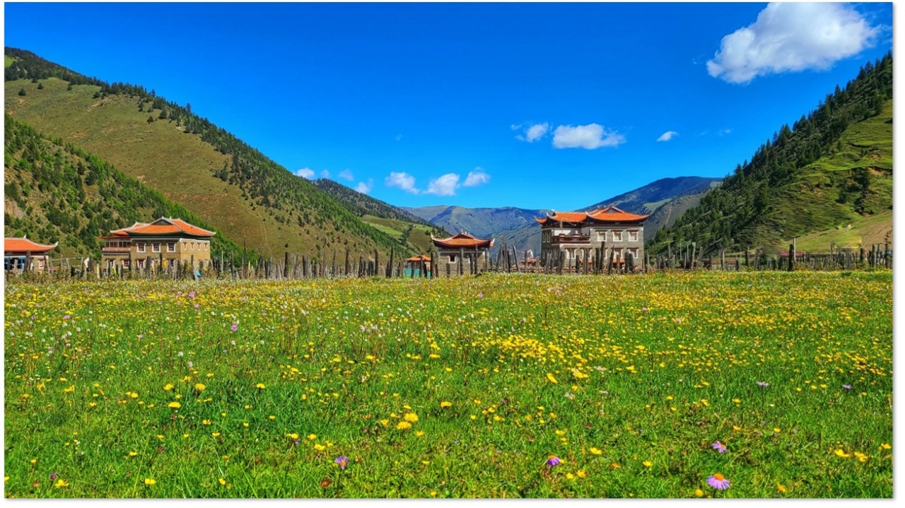 图片1.jpg 图片1.jpg