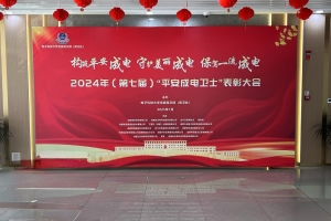 学校举行第七届“平安成电卫士”表彰大会