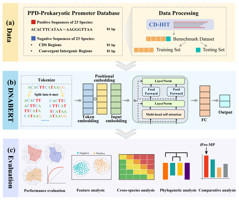 生命学院生物信息学团队在Genome Biology发表研究成果