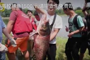 四川梨官博丨最接地气毕业礼！高校捕鱼1500斤，请毕业生免费吃：年年有余