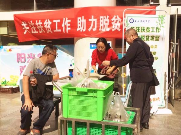 高原土豆03.webp.jpg 高原土豆03.webp.jpg