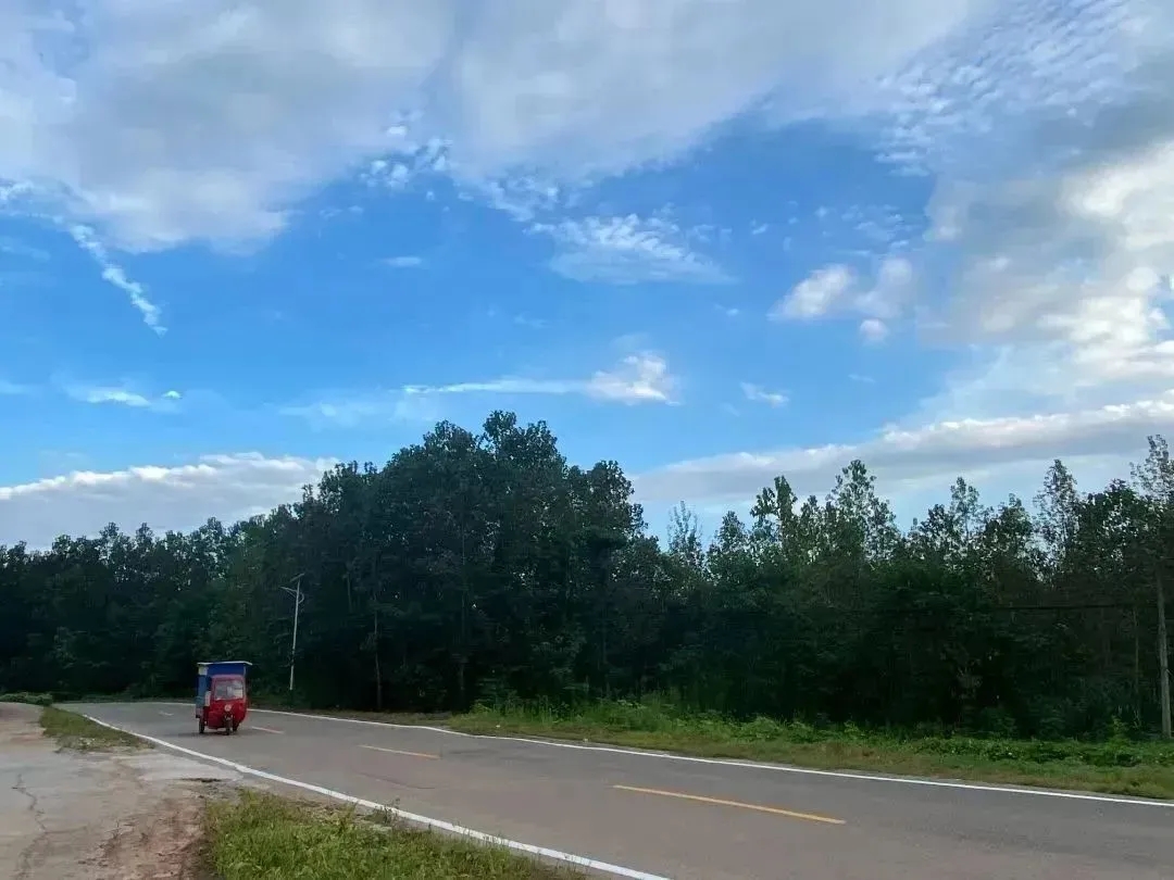 mmexport1671504703955.jpg f86c906322ef83c4107924f0aac54c02.jpg