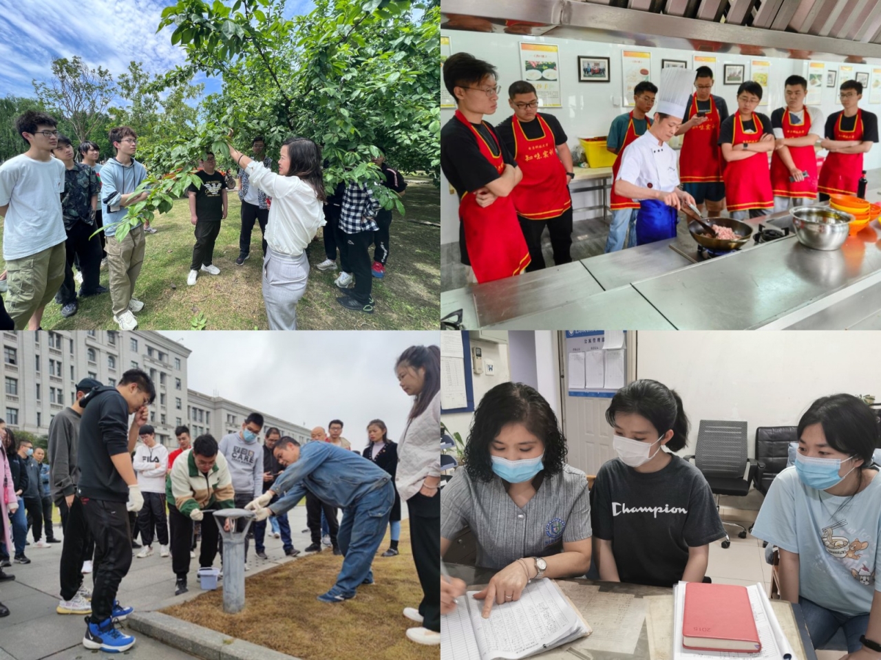 图片2.JPG 图片2.JPG