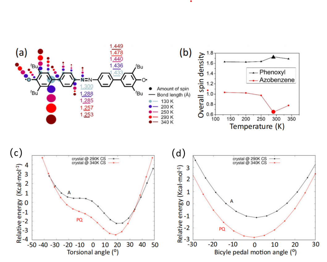 光电学院郑永豪教授团队在Nature Communications发表研究成果