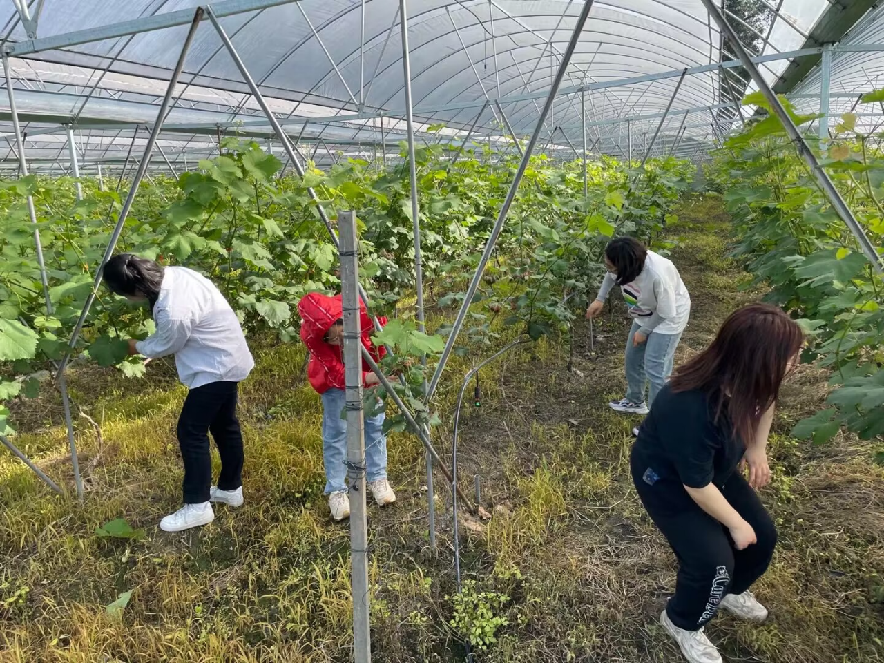 18.png fb325307f73e7b0d36c319dd278cb10a_56227.p