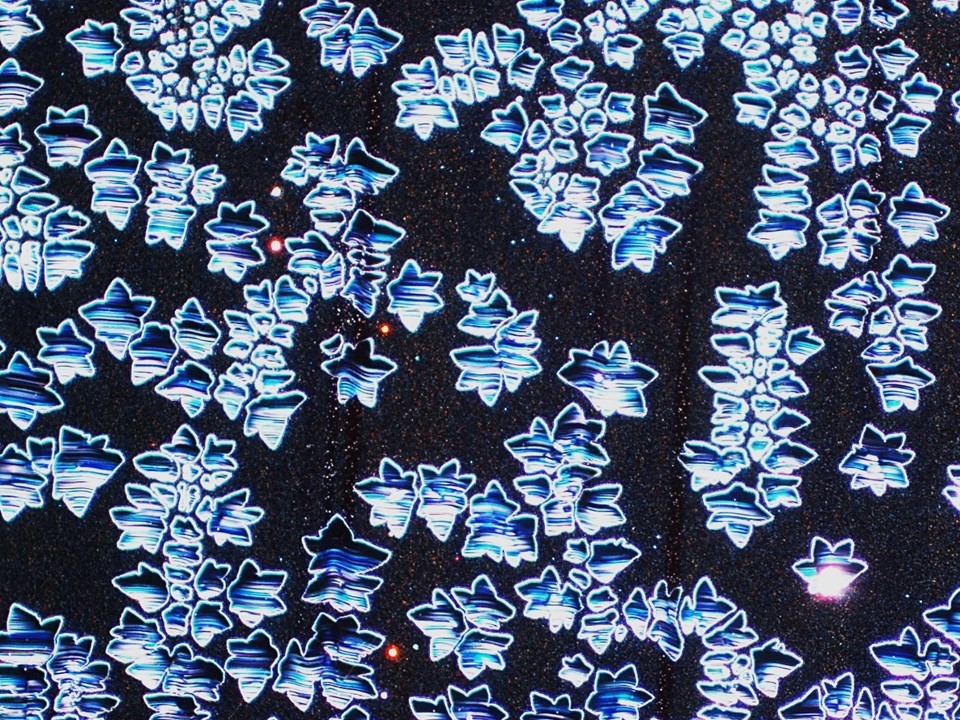 Graphene on Cu-DF.jpg Graphene on Cu-DF.jpg