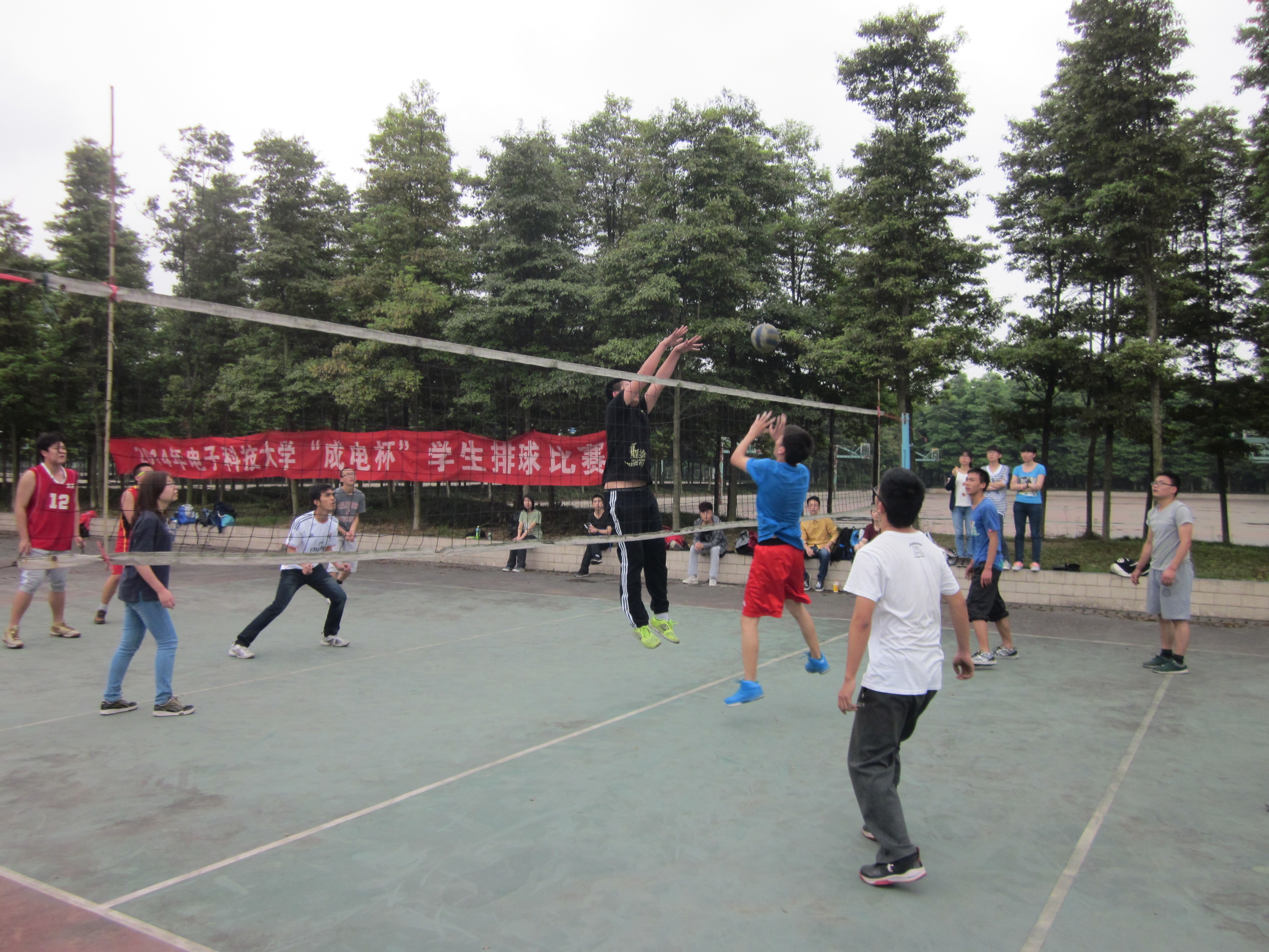 2014年“成电杯”学生排球比赛落幕
