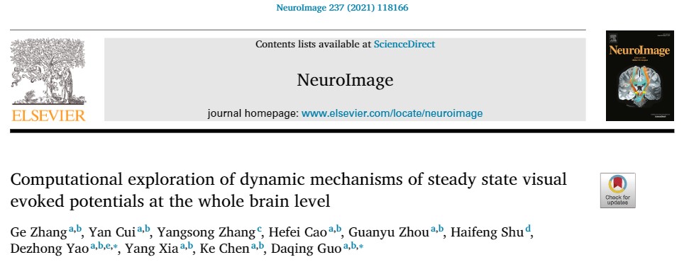 电子科大神经工程与神经数据团队在数字孪生脑模型研究方面取得重要进展