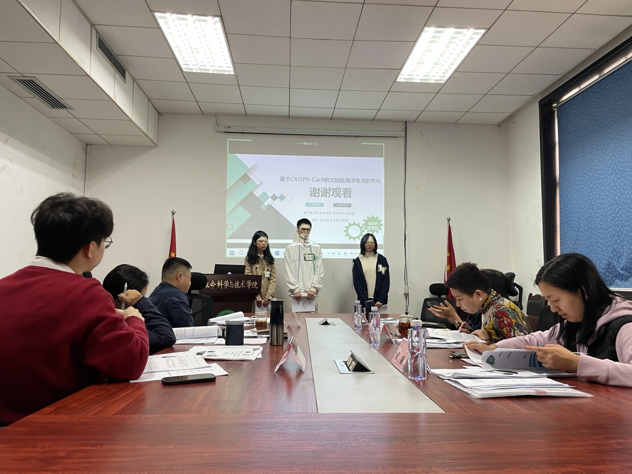 image.jpeg image.jpeg