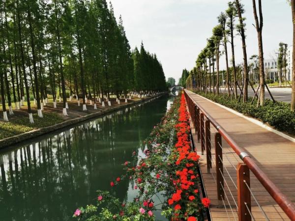 微信图片_20200514223646.jpg fd35f6065bb981f6edee68e19b014684.jpg