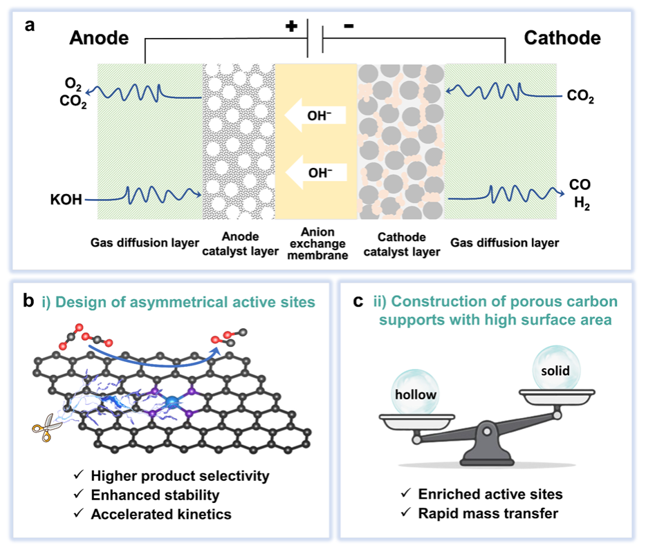 材料学院陈俊松教授团队在Angewandte Chemie International Edition报道高效二氧化碳电解单原子催化剂设计新策略