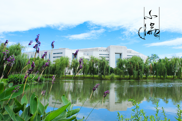 小满.png 小满.png