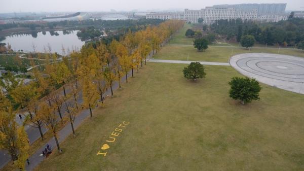 666.jpg 0012206ac34b1669623f50950bb07cbf.jpg