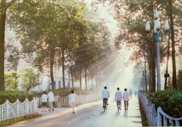 IMG_6895.JPG 09c465732848b5d97b9f6ace2a880567.jpg