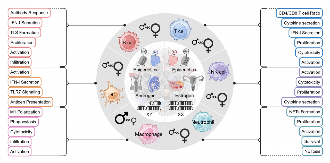 图片2.png 0e40933cec653fcdfd9768584c3af848_0e1b0.p