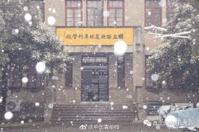 888.jpg 0e6d1a3d6d7104f6e383491c8ceaacb2.jpg